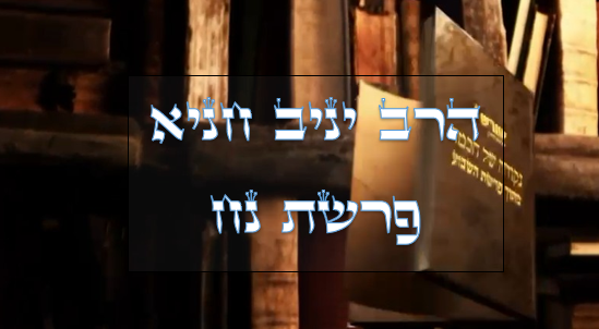 נקודה של חכמה מפרשת השבוע- נח